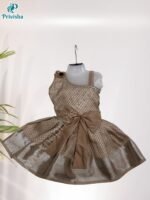 Privisha Soft Silk Gown Combo Set - Silver Green